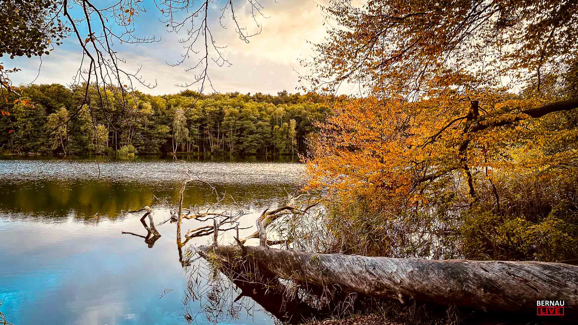 Veranstaltungen und Tipps für das Wochenende in Bernau und Barnim (8.11. - 9.11.)