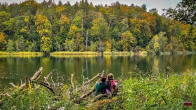 Veranstaltungen und Tipps für das Wochenende in Bernau und Barnim (1.11. - 02.11.)