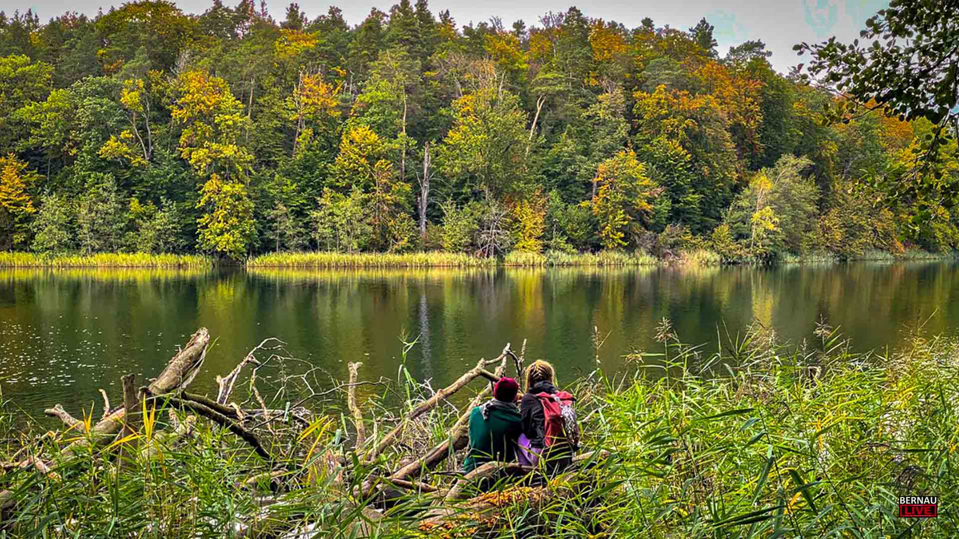 Veranstaltungen und Tipps für das Wochenende in Bernau und Barnim (1.11. - 02.11.)