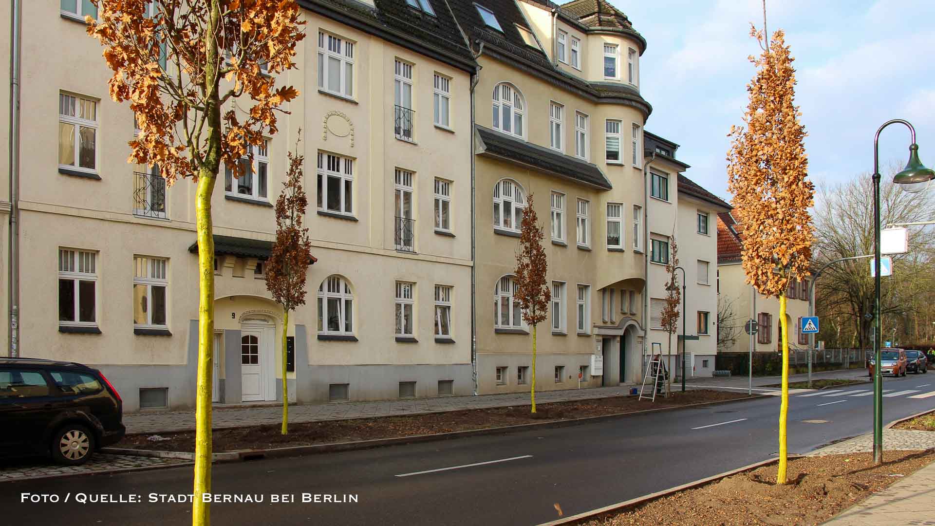 Ein (Baby) Baum fürs Leben: Milo und Lana Amira pflanzen ihre Zukunft in Bernau 10 Bernau LIVE - Dein Stadtmagazin für Bernau bei Berlin
