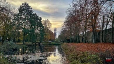 Guten Morgen aus Bernau und allen einen sonnig-schönen Donnerstag