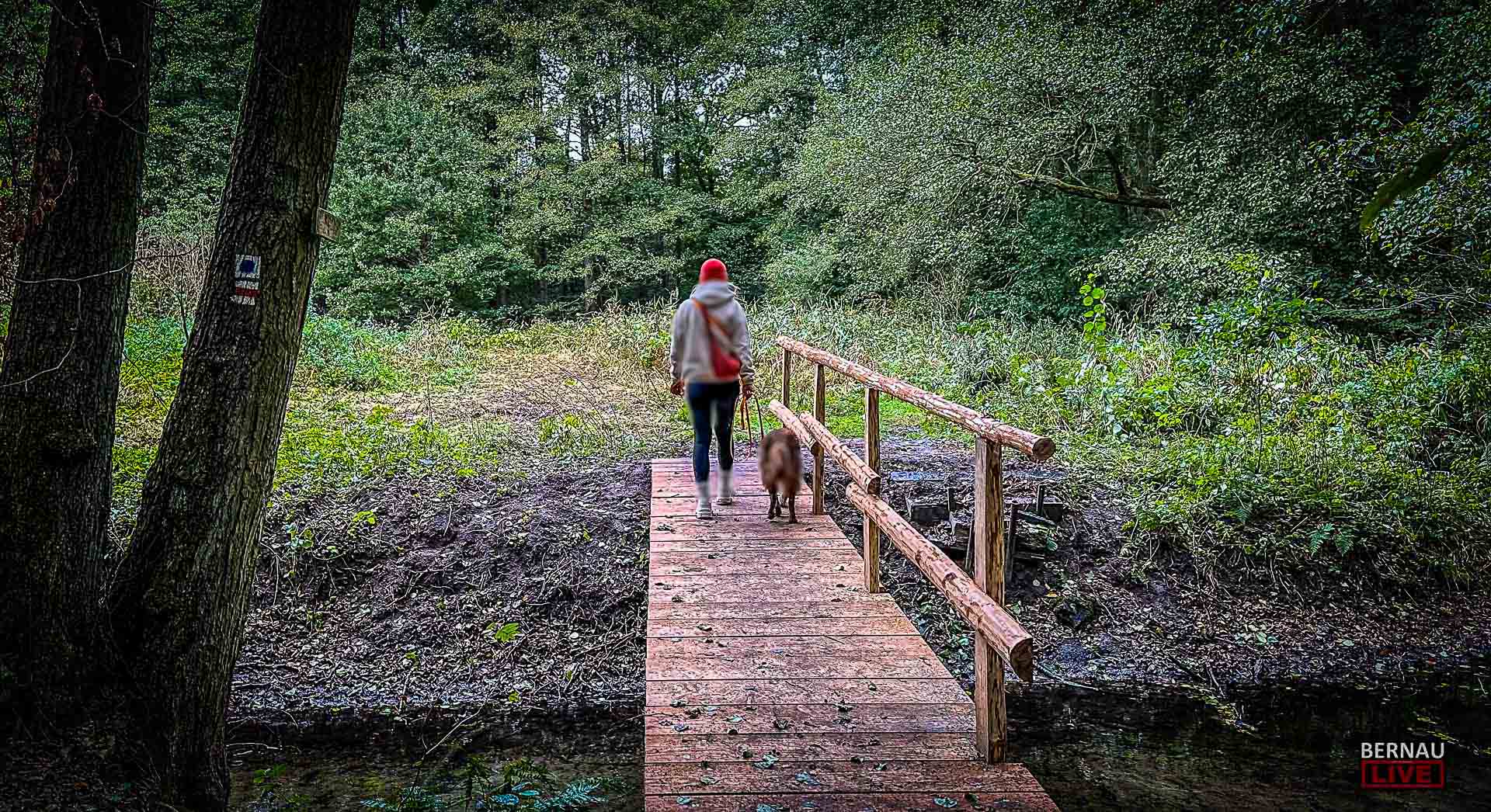 Aktionswoche „Worte statt Wunden“ – gemeinsam gegen häusliche Gewalt
