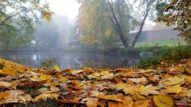 Guten Morgen aus Bernau und allen eine gute Wochenmitte