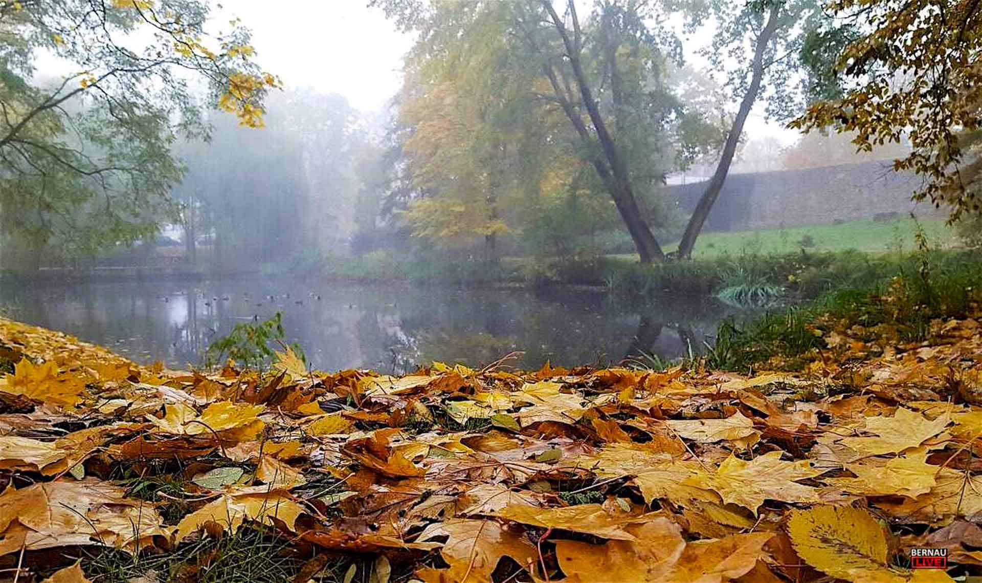 Guten Morgen aus Bernau und allen eine gute Wochenmitte