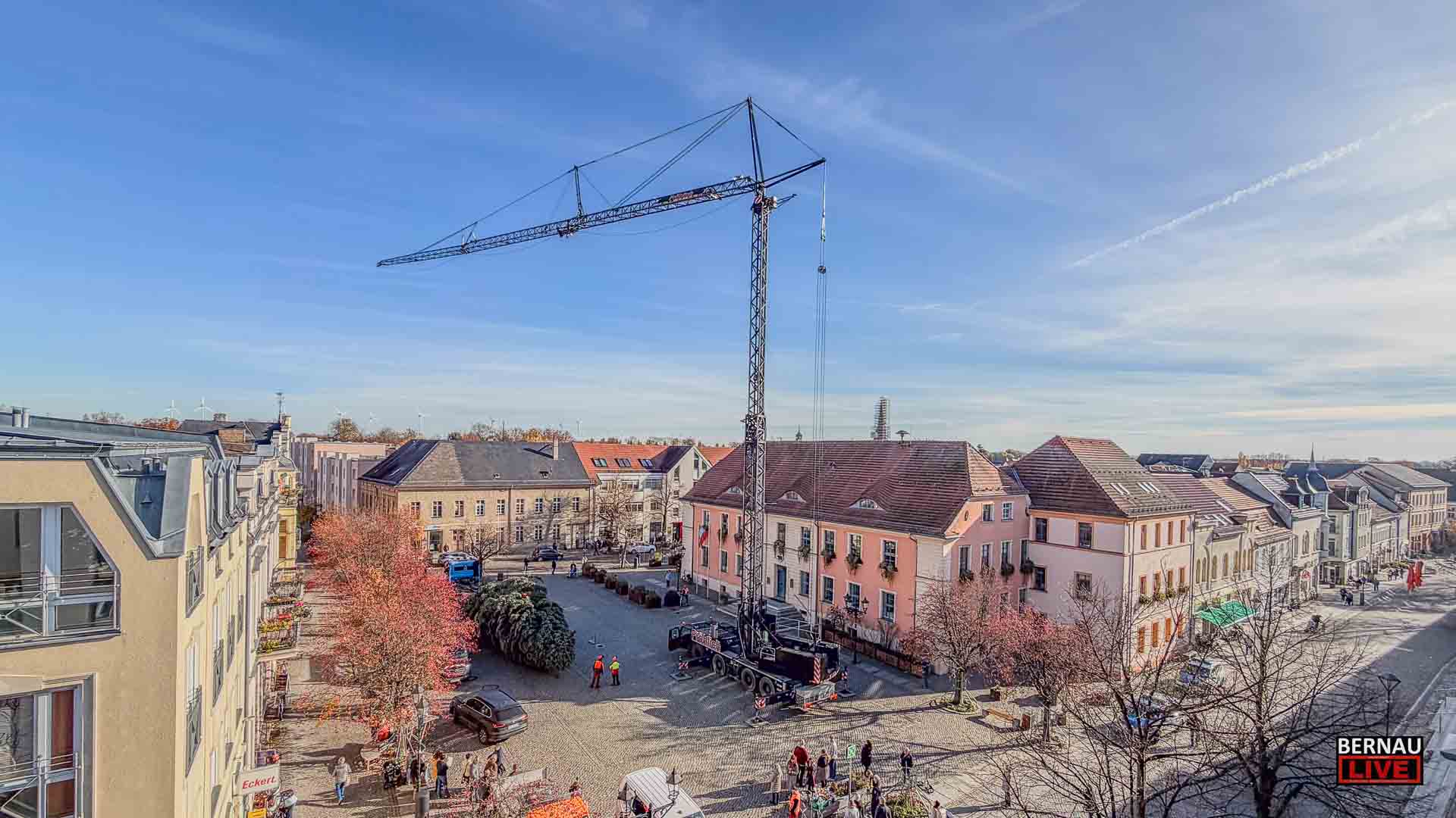 Eine Colorado-Tanne für den Marktplatz: Bernau hat seinen Weihnachtsbaum! 5 Bernau LIVE - Dein Stadtmagazin für Bernau bei Berlin