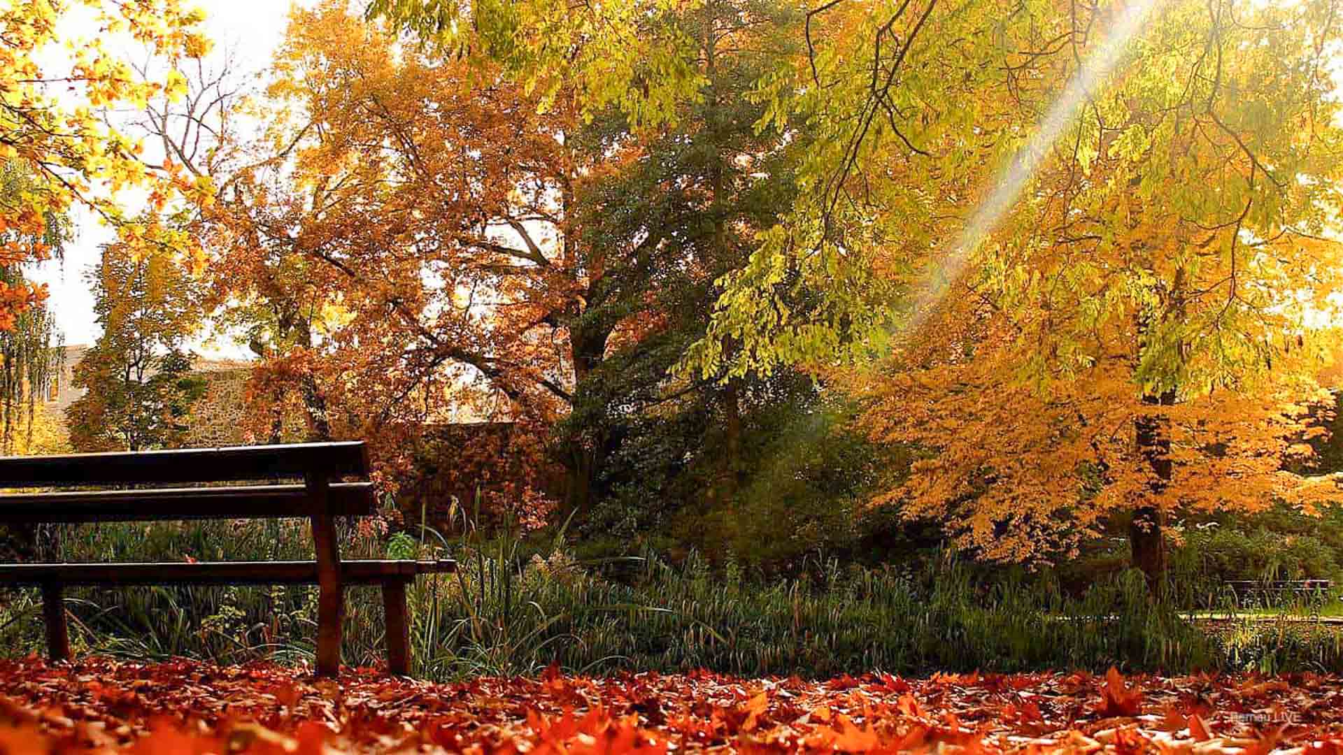 Guten Morgen aus Bernau und allen einen sonnig-schönen Donnerstag