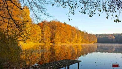 Veranstaltungen und Tipps für das Wochenende in Bernau und Barnim (15.11. - 16.11.)