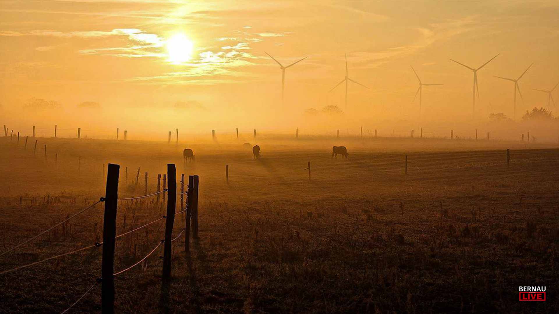 Willkommen in der Wochenmitte und guten Morgen aus Bernau