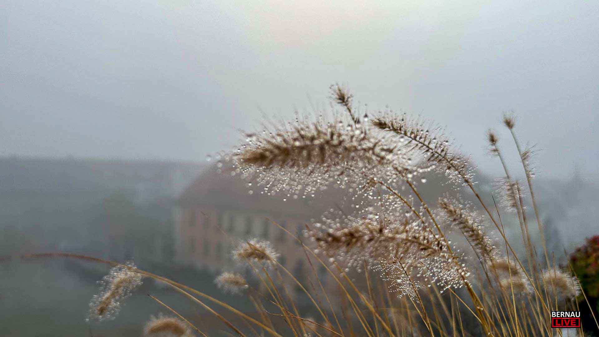 Willkommen in der neuen Woche und guten Morgen aus Bernau