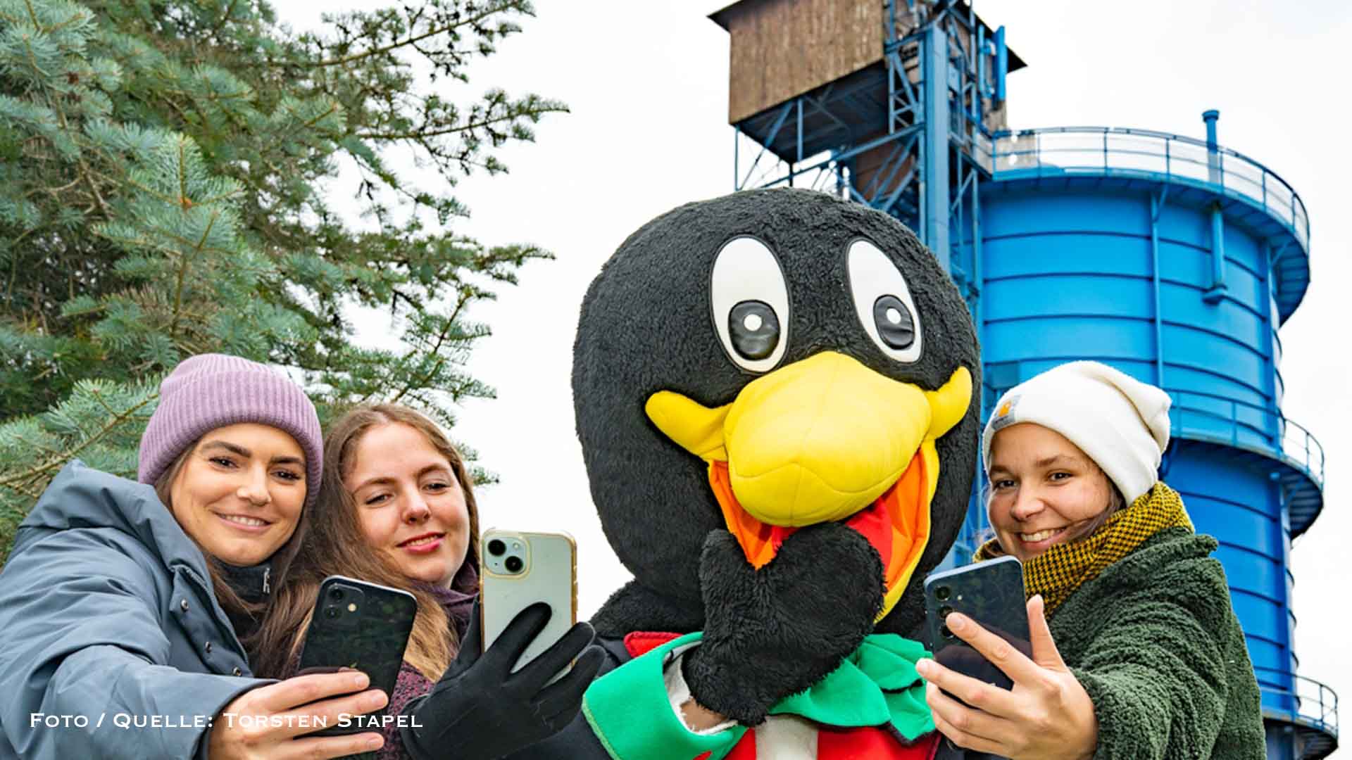 Die Stadtwerke Bernau starten digitalen Adventskalender