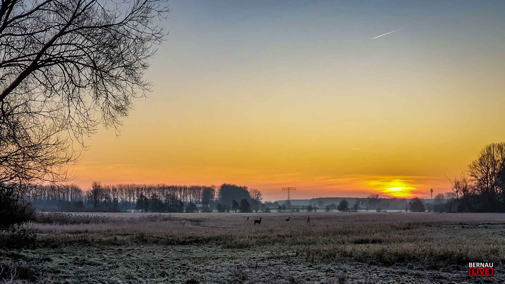 Guten Morgen aus Bernau und willkommen in der Wochenmitte