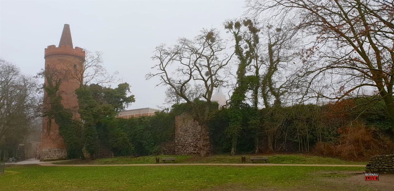 Veranstaltungen und Tipps für das Wochenende in Bernau und Barnim (13. - 14.12.)