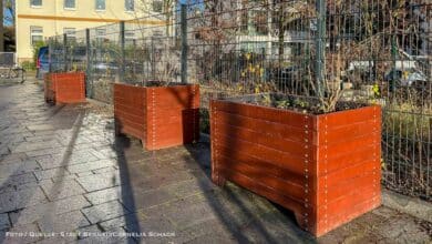 Aus dem Bernauer Bürgerhaushalt: Hochbeete am Bahnhofsvorplatz Bernau