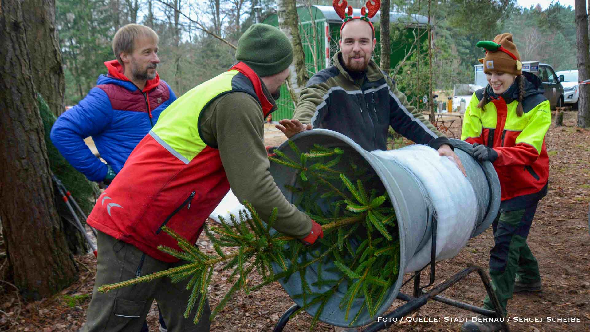 Andrang im Stadtwald Bernau: Großes Interesse am Weihnachtsbaumschlagen 3 Bernau LIVE - Dein Stadtmagazin für Bernau bei Berlin