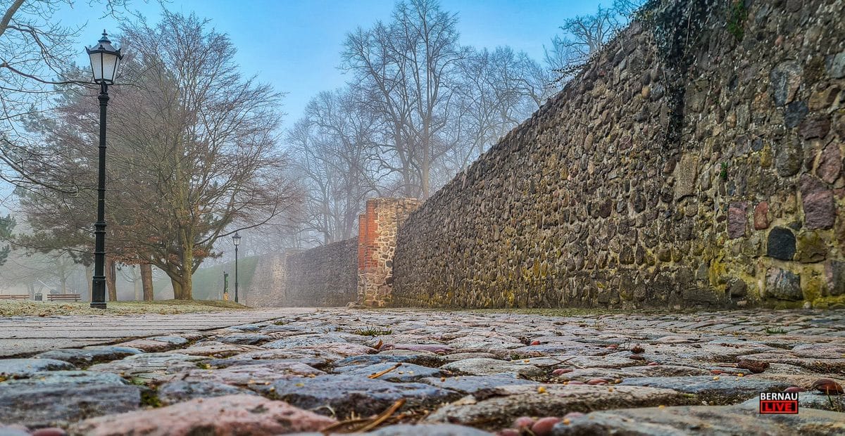 Bernau LIVE - Dein Stadtmagazin für Bernau bei Berlin