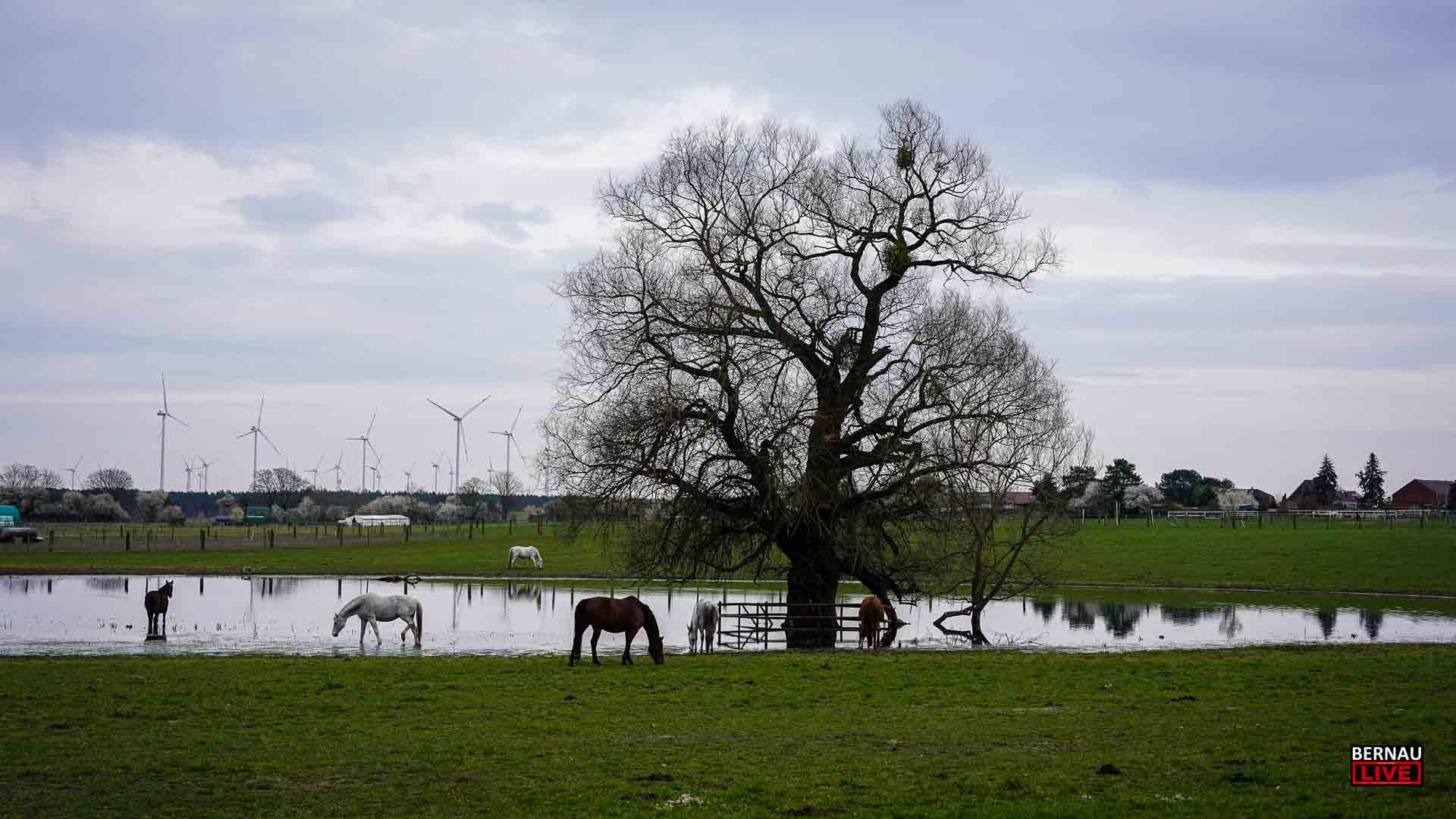 Willkommen in der neuen Woche und guten Morgen aus Bernau