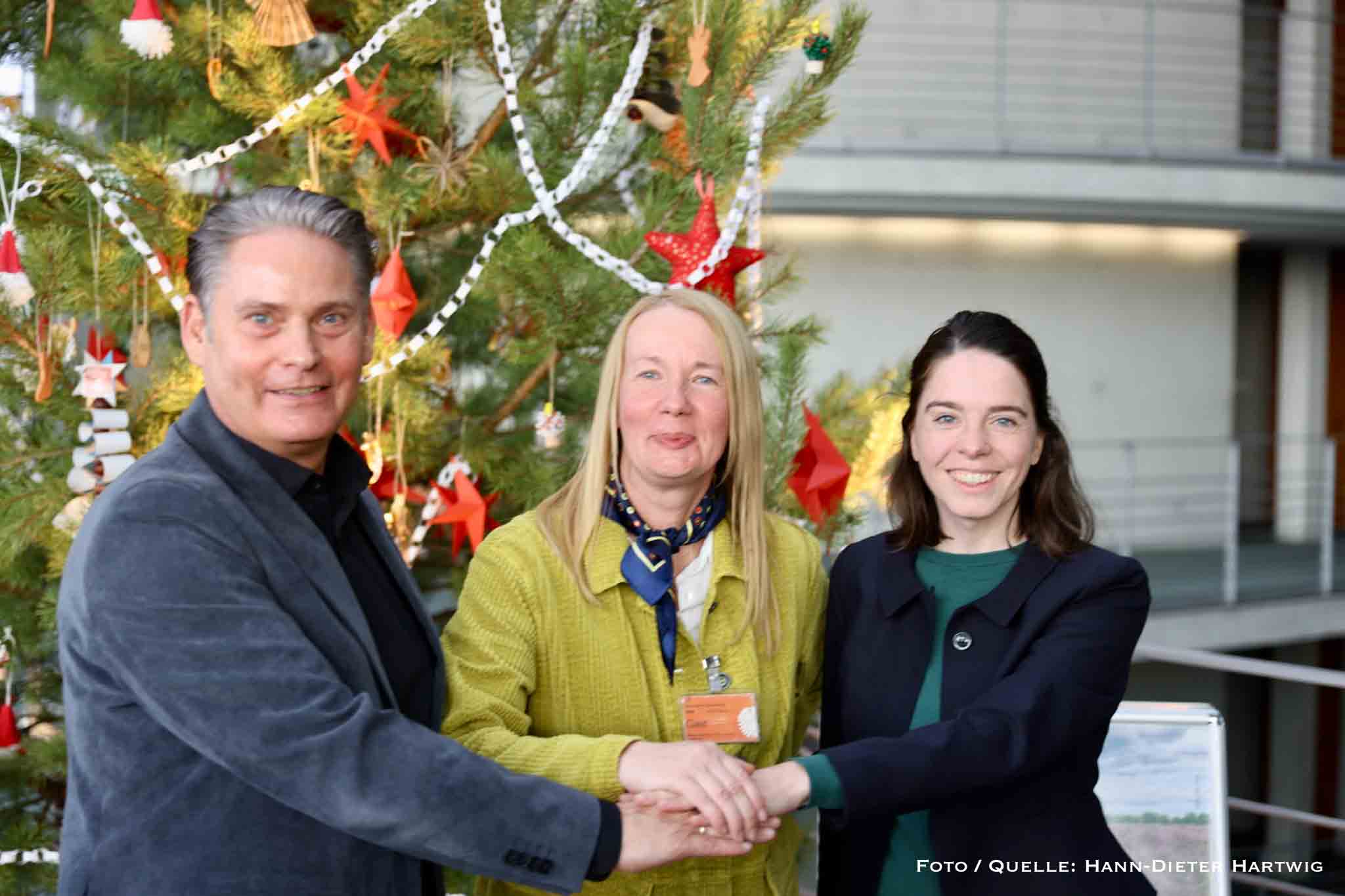 Weihnachtsbaum aus der Schönower Heide für den Bundestag