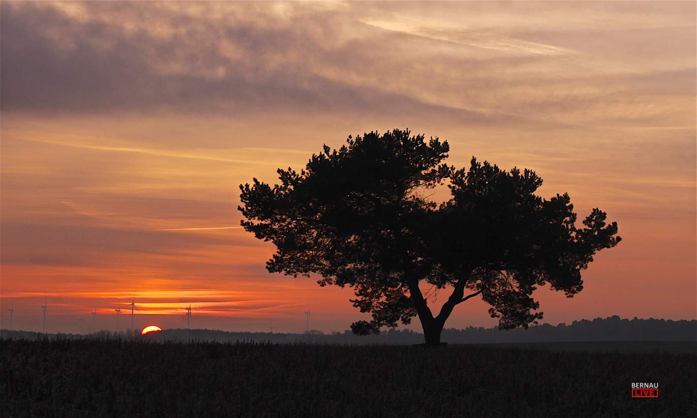 Guten Morgen aus Bernau und einen schönen Freitag