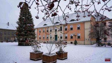 Veranstaltungen und Tipps für das Wochenende in Bernau und Barnim - Altes Rathaus Bernau ,mit Marktplatz