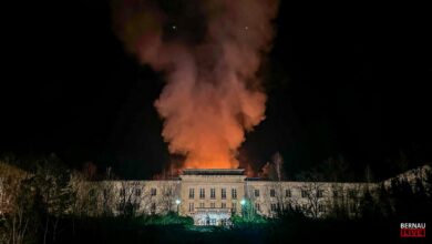 Bernau LIVE - Dein Stadtmagazin