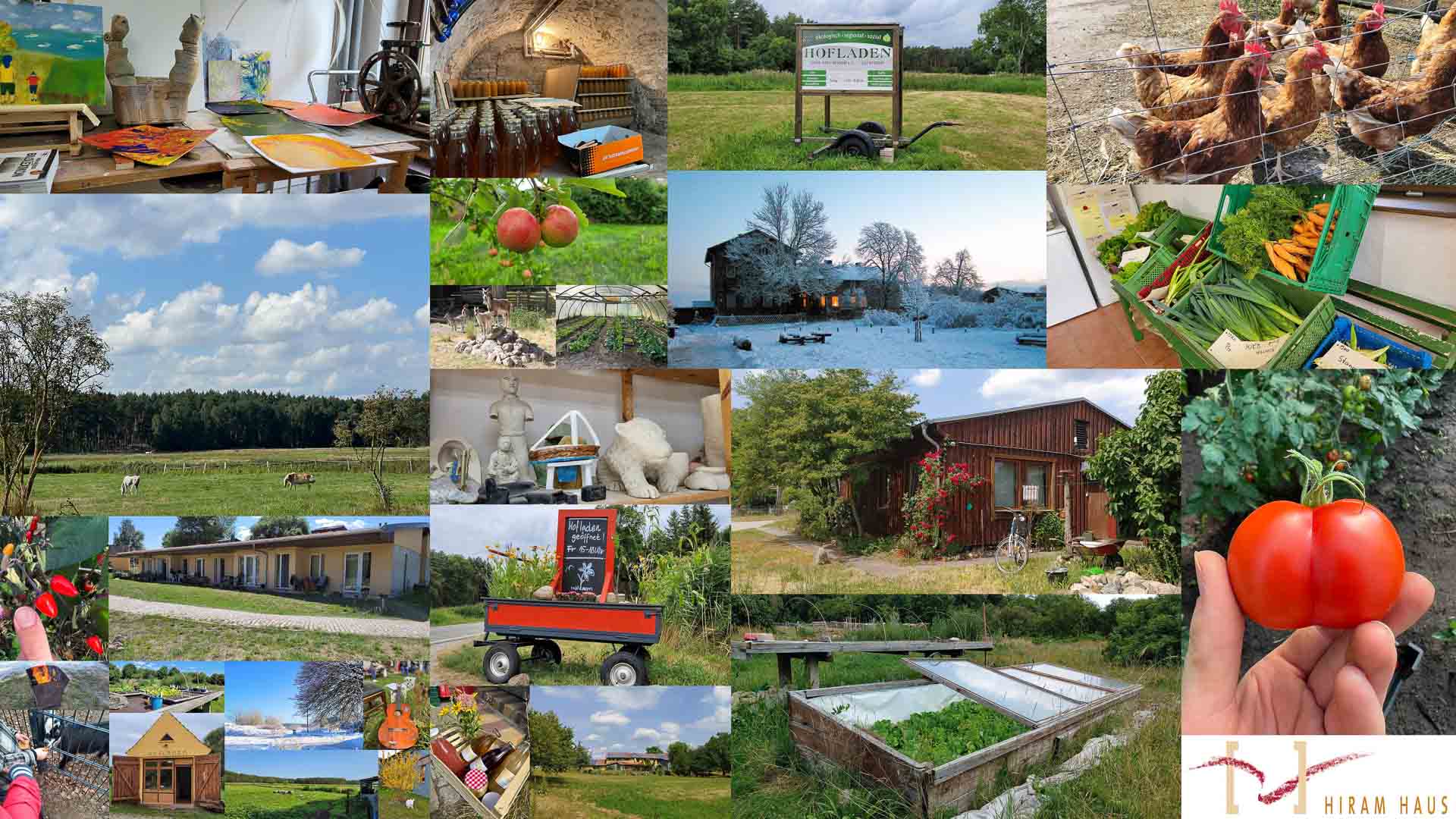 Fachkraft (m/w/d) im Gartenbereich als Elternzeitvertretung in Wandlitz gesucht! 11 Fachkraft (m/w/d) im Gartenbereich als Elternzeitvertretung in Wandlitz gesucht!