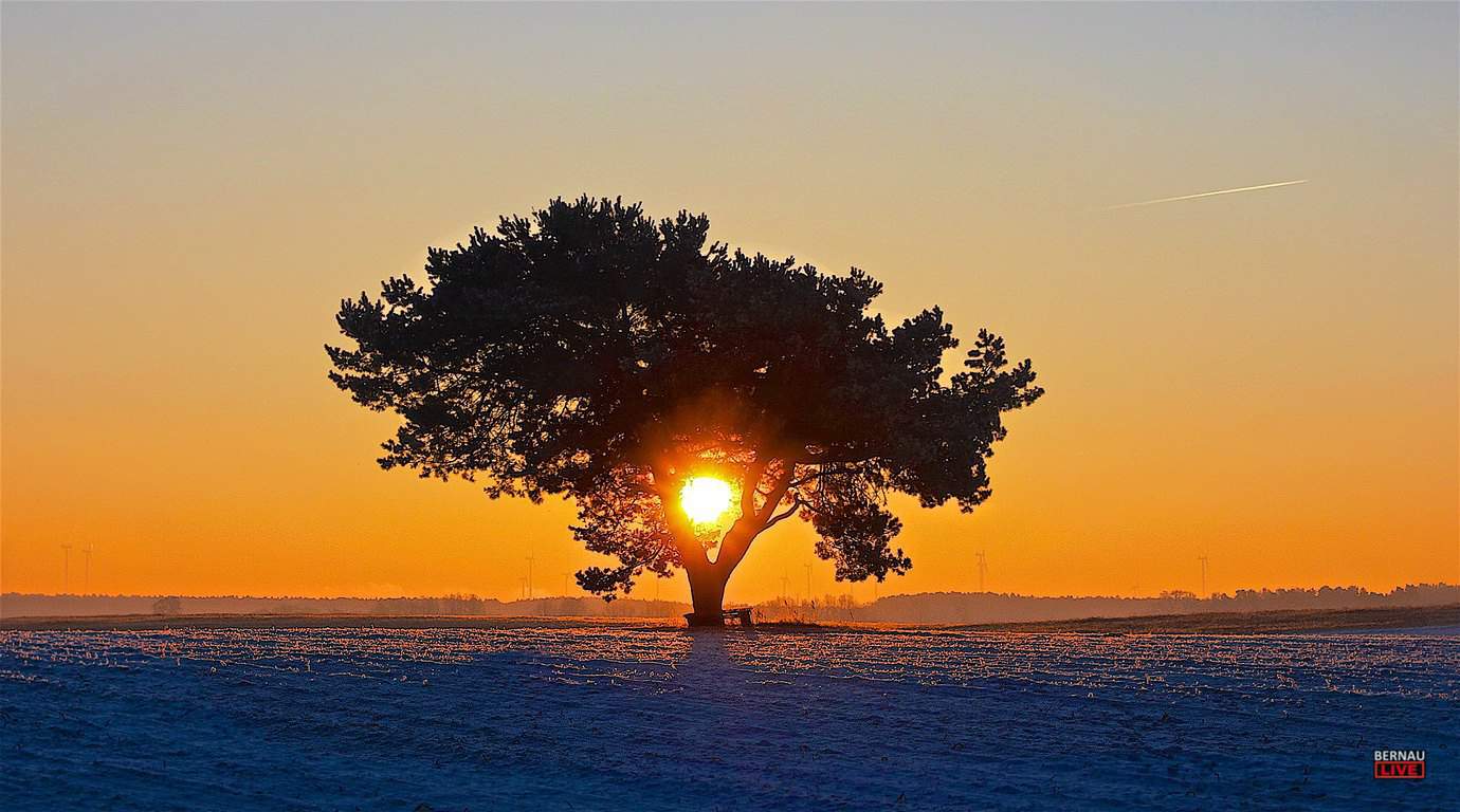 Allen einen schönen Freitag und guten Morgen aus Bernau 7 Allen einen schönen Freitag und guten Morgen aus Bernau