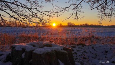 Willkommen in der neuen Woche und guten Morgen aus Bernau