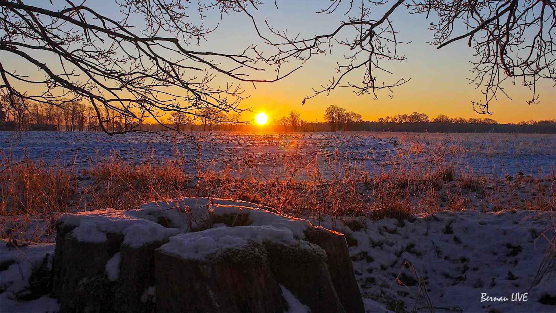 Willkommen in der neuen Woche und guten Morgen aus Bernau 7 Willkommen in der neuen Woche und guten Morgen aus Bernau