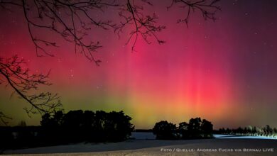 Erst Polarlichter, dann Ausflugswetter: Barnims magisches Winter-Wochenende