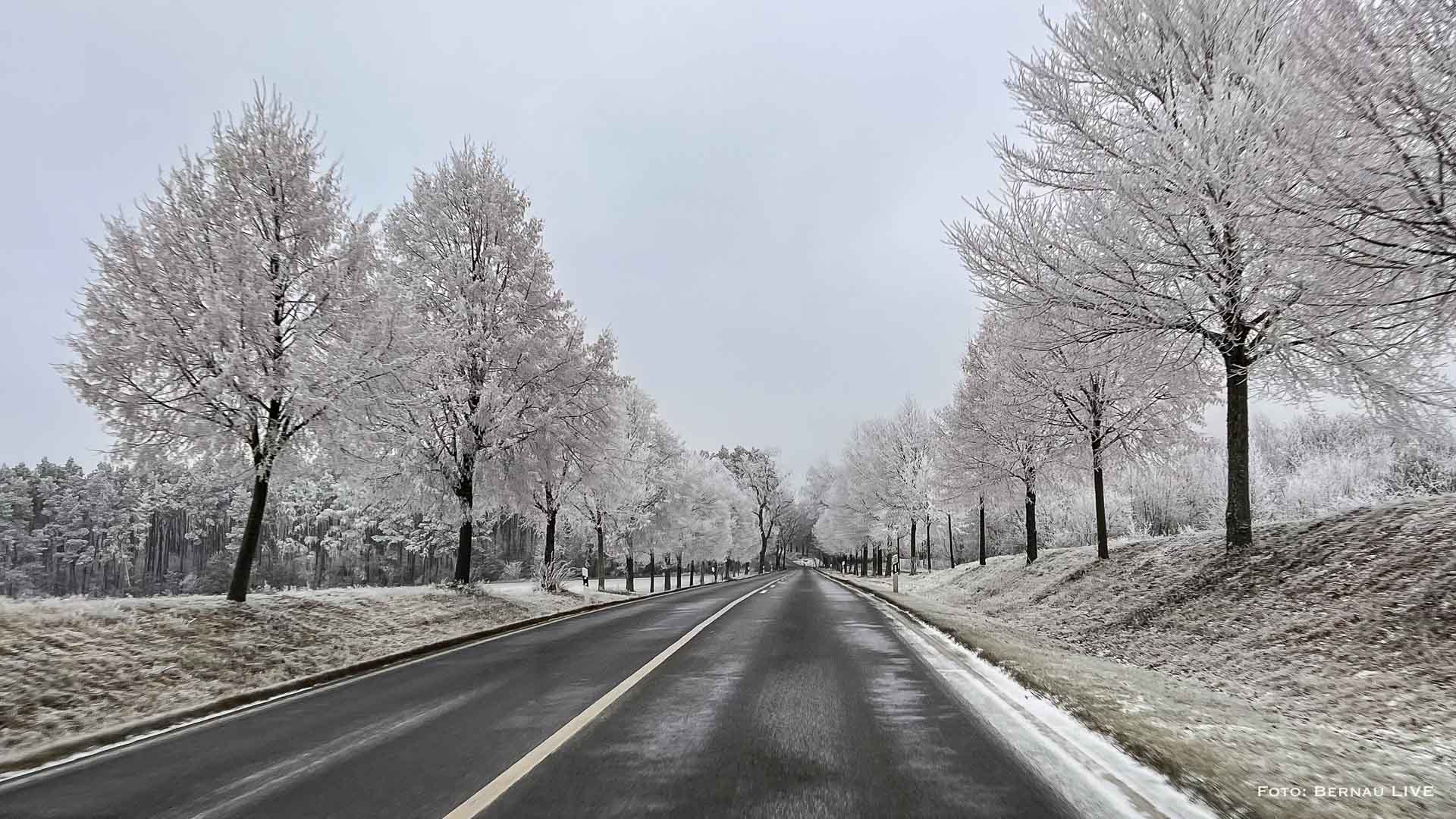 Bernau LIVE wünscht einen schönen Freitag, guten Morgen 5 Bernau LIVE wünscht einen schönen Freitag, guten Morgen