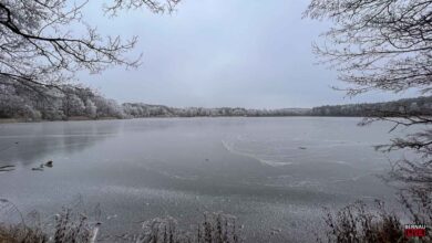 Guten Morgen aus Bernau und einen schönen Donnerstag