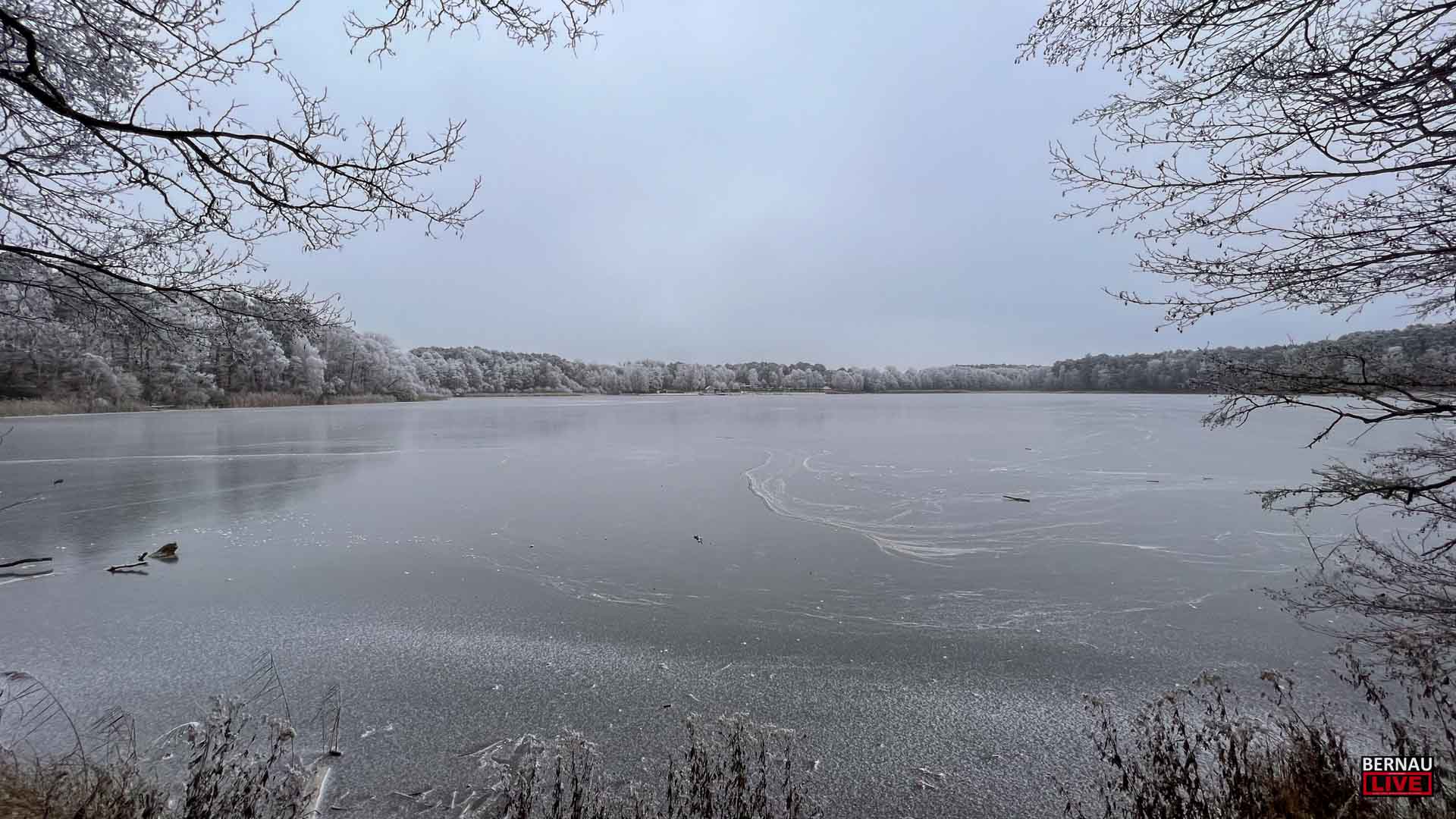 Guten Morgen aus Bernau und einen schönen Donnerstag 1 Guten Morgen aus Bernau und einen schönen Donnerstag