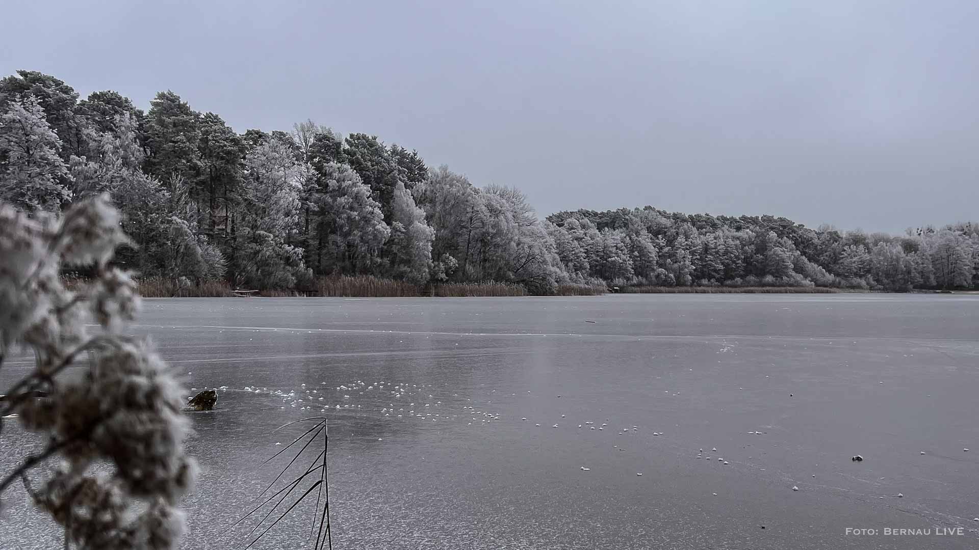 Veranstaltungen und Tipps für das Wochenende in Bernau und Barnim