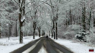 Der Winter ist in Bernau und Barnim angekommen - Vorsicht Glätte!