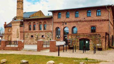 Hopfen, Hirnschmalz & Humor: Erstes Kneipenquiz in der Brauerei Börnicke