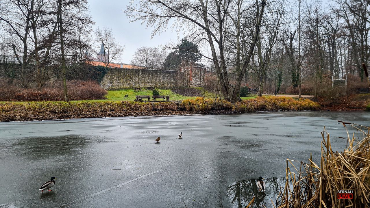 Guten Morgen - Bernau LIVE wünscht einen schönen Freitag, den 13. 1 Guten Morgen - Bernau LIVE wünscht einen schönen Freitag, den 13.