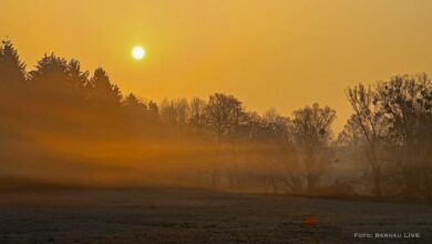 Bernau LIVE wünscht einen sonnigen Freitag bei bis zu 18 Grad