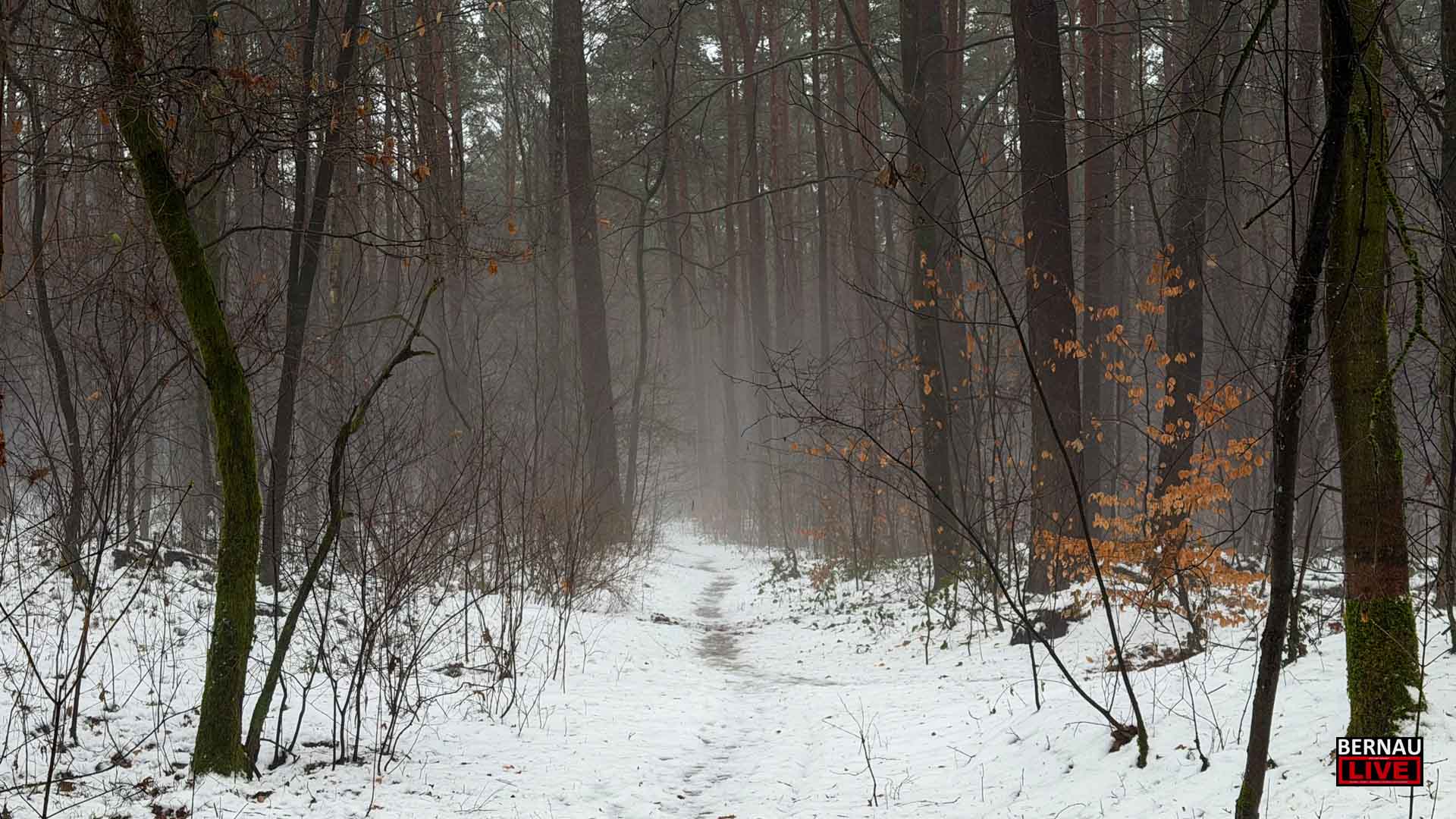 Landkreis Barnim beendet witterungsbedingte Notzeit für Schalenwild 1 Landkreis Barnim beendet witterungsbedingte Notzeit für Schalenwild