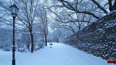 Willkommen in der Wochenmitte und guten Morgen aus Bernau