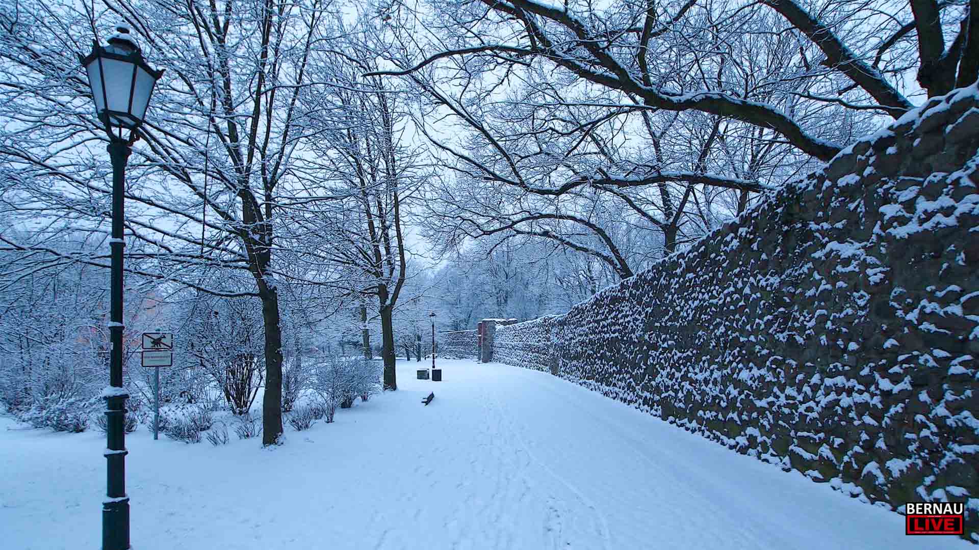 Willkommen in der Wochenmitte und guten Morgen aus Bernau