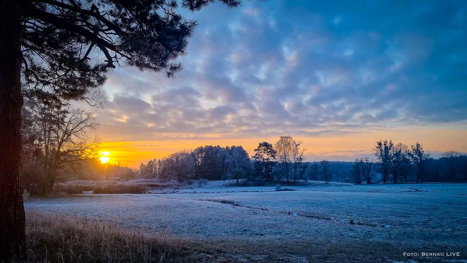 Allen einen schönen Donnerstag und guten Morgen aus Bernau 1 Allen einen schönen Donnerstag und guten Morgen aus Bernau
