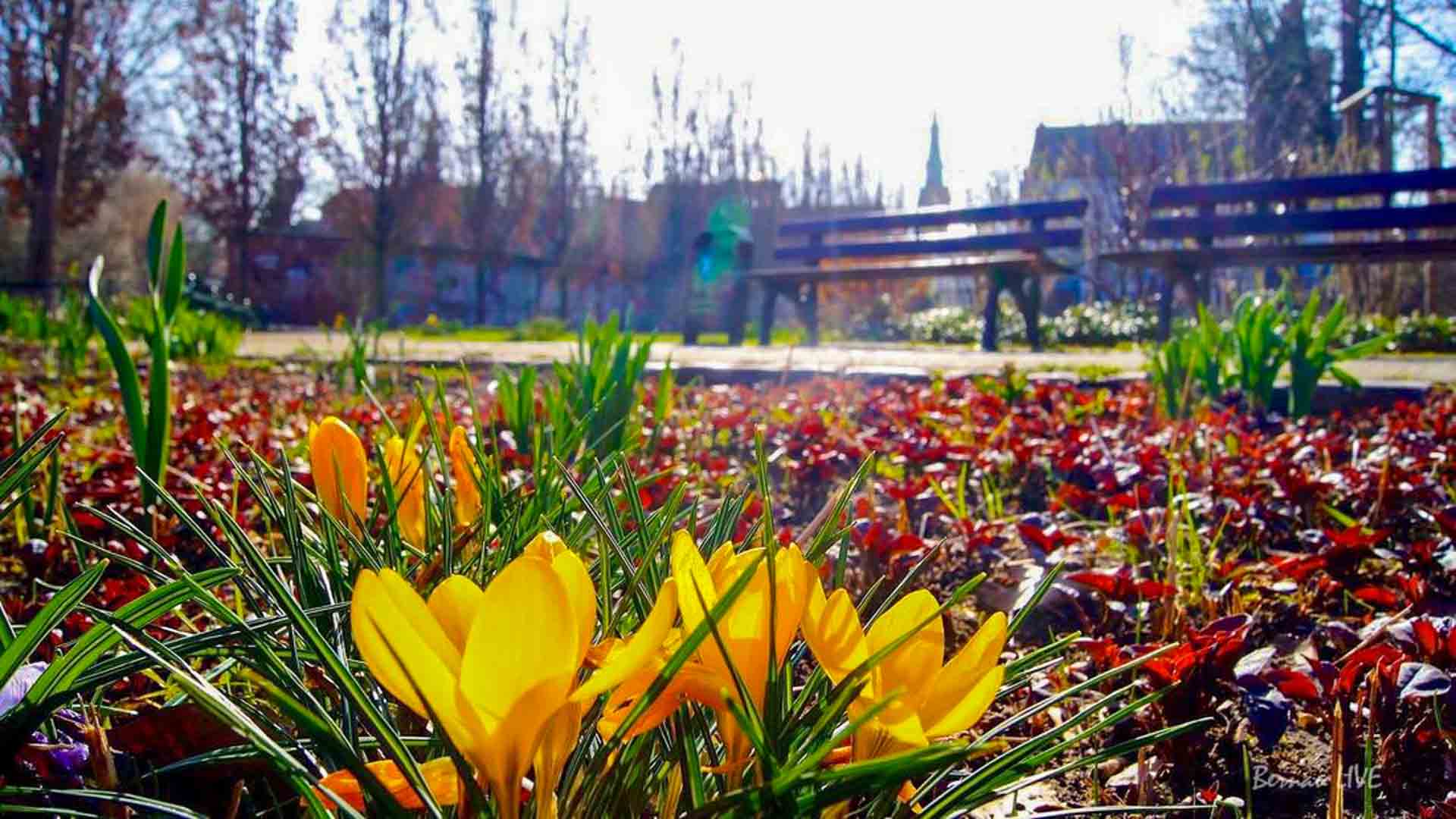 Willkommen im Frühling und guten Morgen aus Bernau