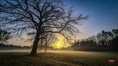 Willkommen in der Wochenmitte und guten Morgen aus Bernau