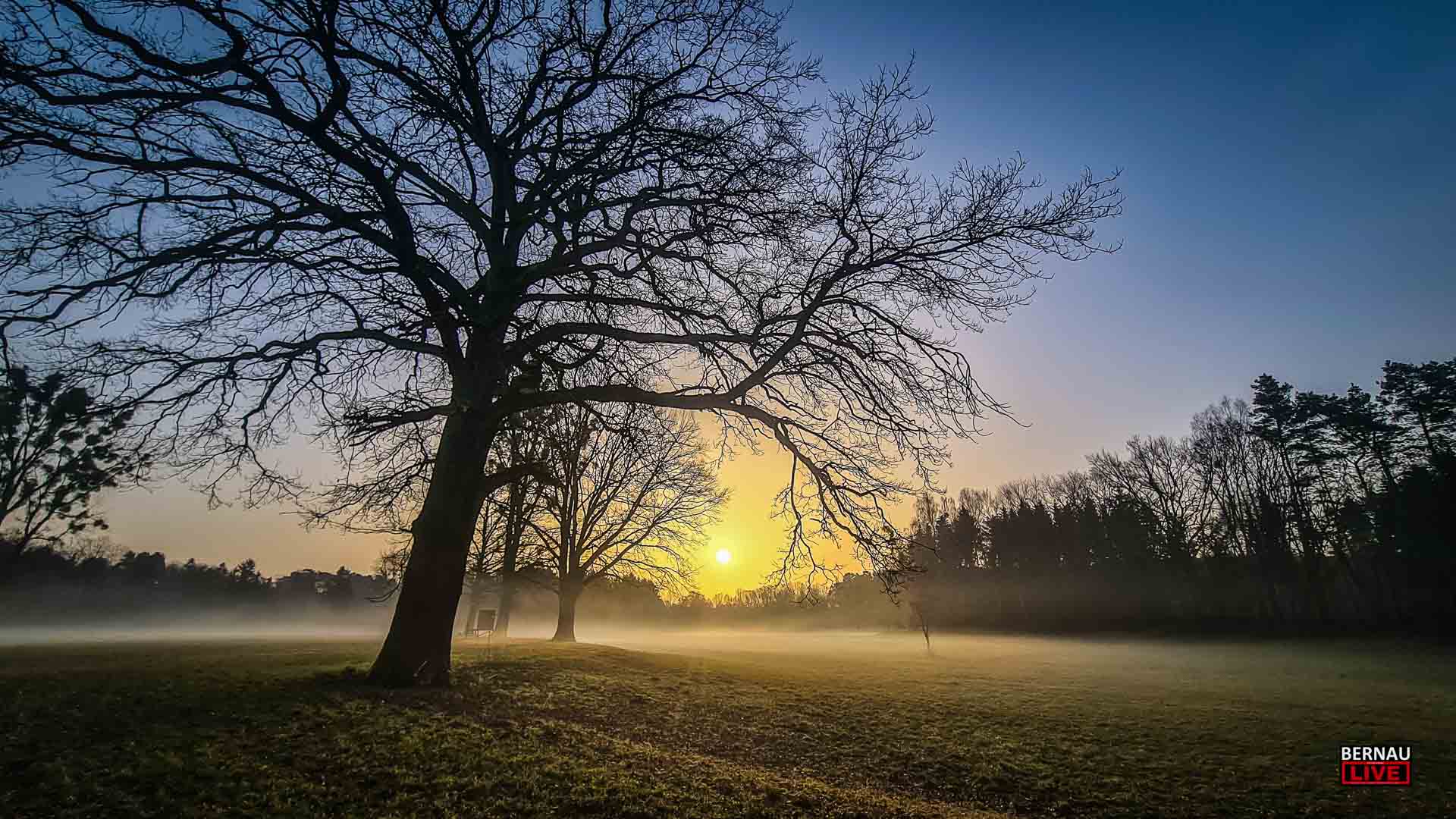 Willkommen in der Wochenmitte und guten Morgen aus Bernau