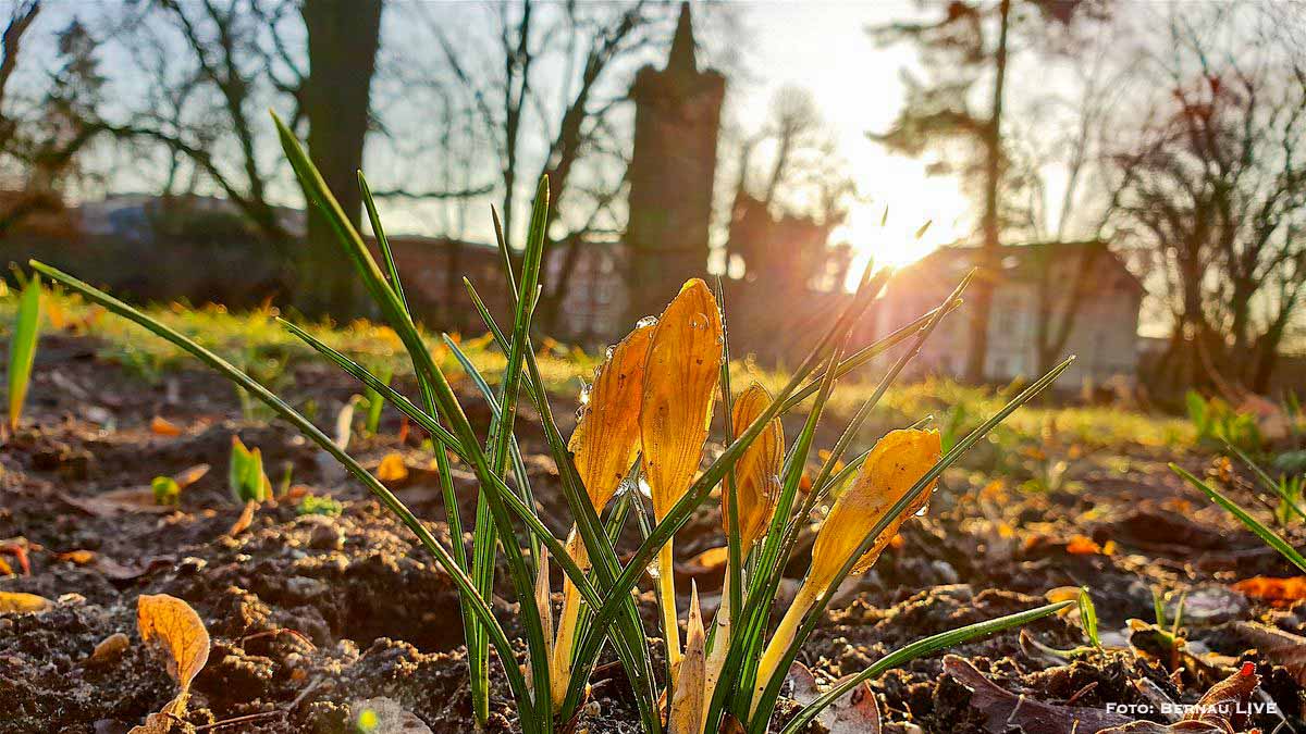 Guten Morgen aus Bernau und einen schönen Dienstag