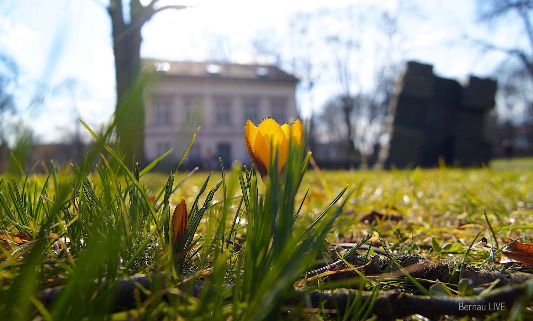 Guten Morgen aus Bernau und willkommen in der neuen Woche 1 Guten Morgen aus Bernau und willkommen in der neuen Woche