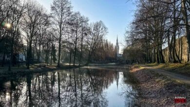 Guten Morgen aus Bernau und einen schönen Donnerstag