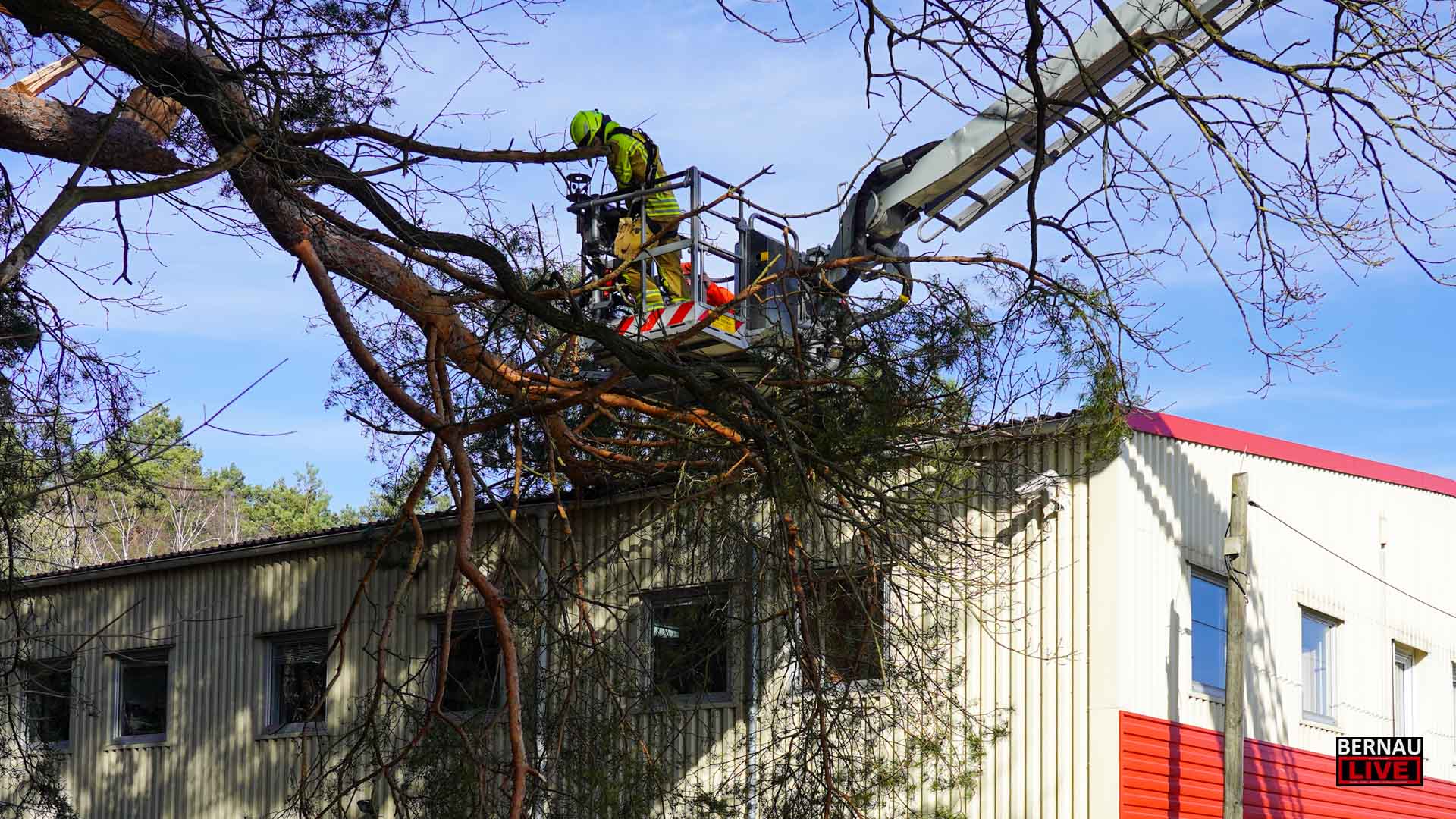 Baum stürzt auf Werkshalle in Bernau und weitere Meldungen