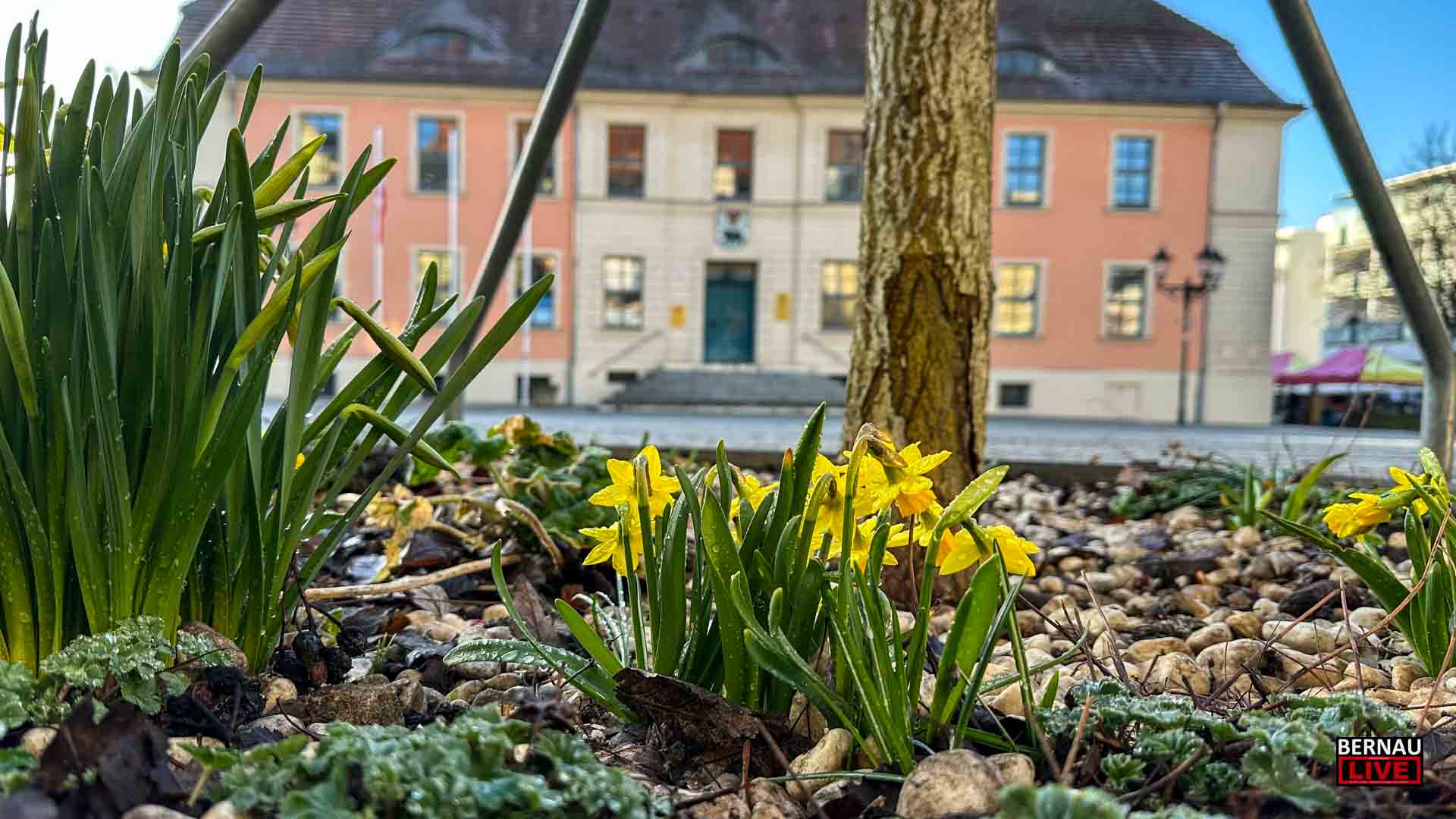 Guten Morgen - Bernau LIVE wünscht eine gute Wochenmitte