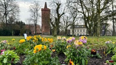 5.000 Frühlingsboten: Bernau wird pünktlich zu Ostern bunt